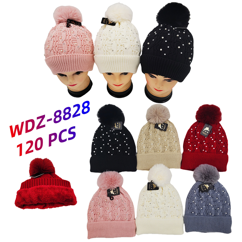WDZ-8828 CS120